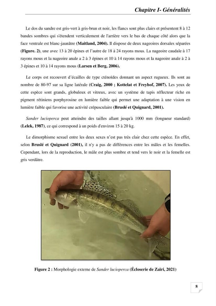 Contribution à la reproduction semi-contrôlée et à l’élevage larvaire d’une espèce carnassière d’eau douce : Cas de Sander lucioperca