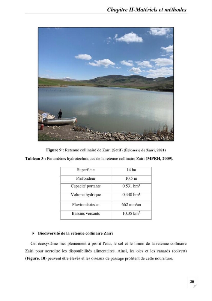 Contribution à la reproduction semi-contrôlée et à l’élevage larvaire d’une espèce carnassière d’eau douce : Cas de Sander lucioperca