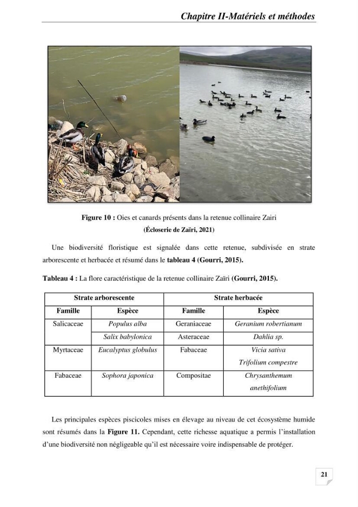 Contribution à la reproduction semi-contrôlée et à l’élevage larvaire d’une espèce carnassière d’eau douce : Cas de Sander lucioperca