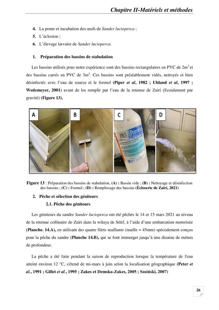 Contribution à la reproduction semi-contrôlée et à l’élevage larvaire d’une espèce carnassière d’eau douce : Cas de Sander lucioperca