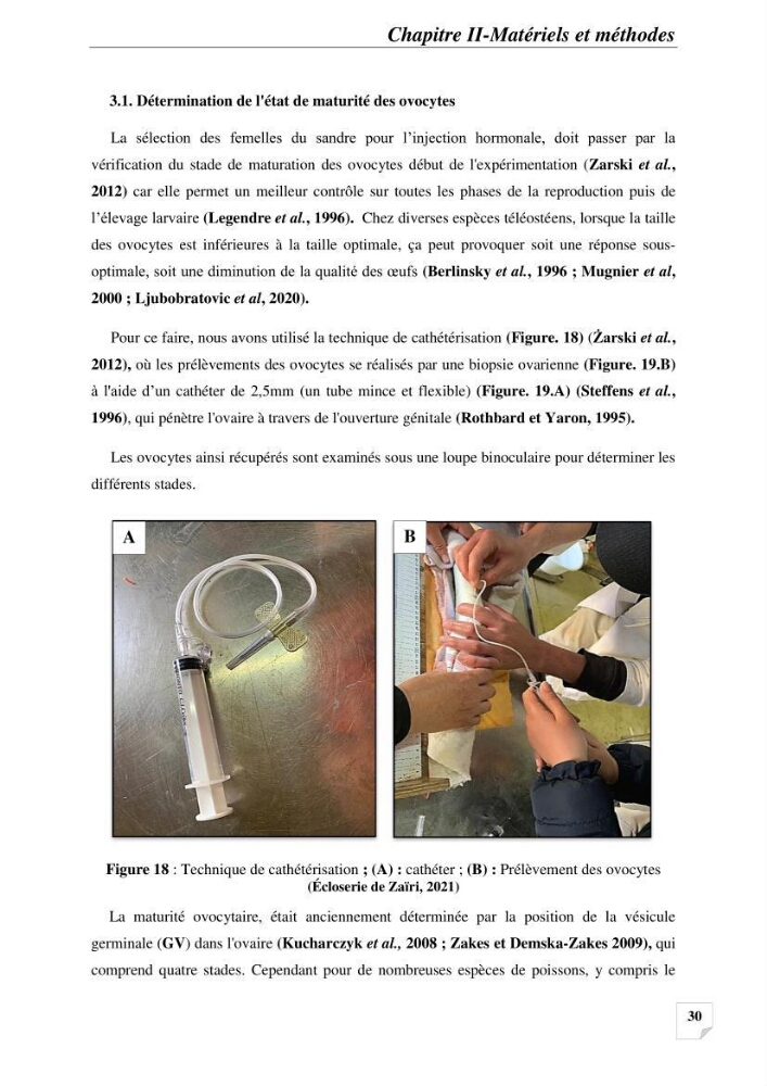 Contribution à la reproduction semi-contrôlée et à l’élevage larvaire d’une espèce carnassière d’eau douce : Cas de Sander lucioperca