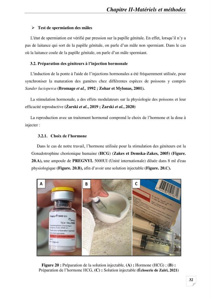 Contribution à la reproduction semi-contrôlée et à l’élevage larvaire d’une espèce carnassière d’eau douce : Cas de Sander lucioperca