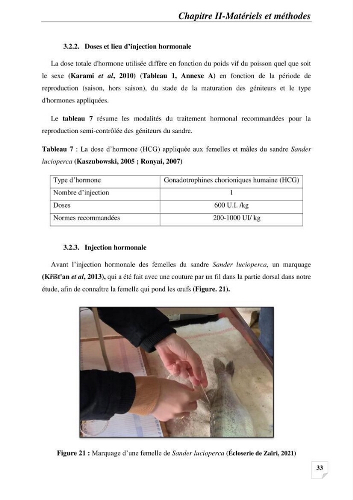 Contribution à la reproduction semi-contrôlée et à l’élevage larvaire d’une espèce carnassière d’eau douce : Cas de Sander lucioperca