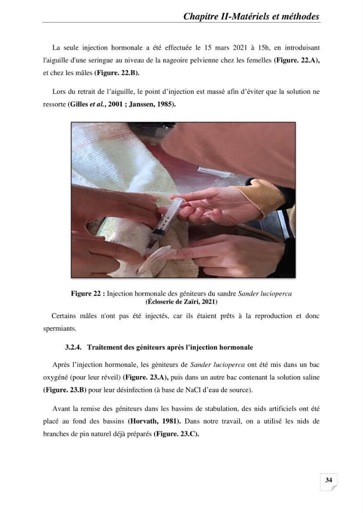 Contribution à la reproduction semi-contrôlée et à l’élevage larvaire d’une espèce carnassière d’eau douce : Cas de Sander lucioperca