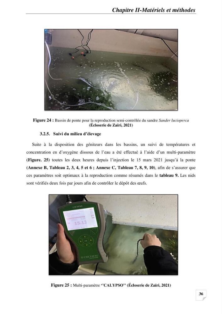 Contribution à la reproduction semi-contrôlée et à l’élevage larvaire d’une espèce carnassière d’eau douce : Cas de Sander lucioperca