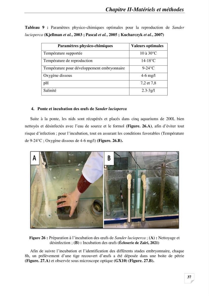 Contribution à la reproduction semi-contrôlée et à l’élevage larvaire d’une espèce carnassière d’eau douce : Cas de Sander lucioperca