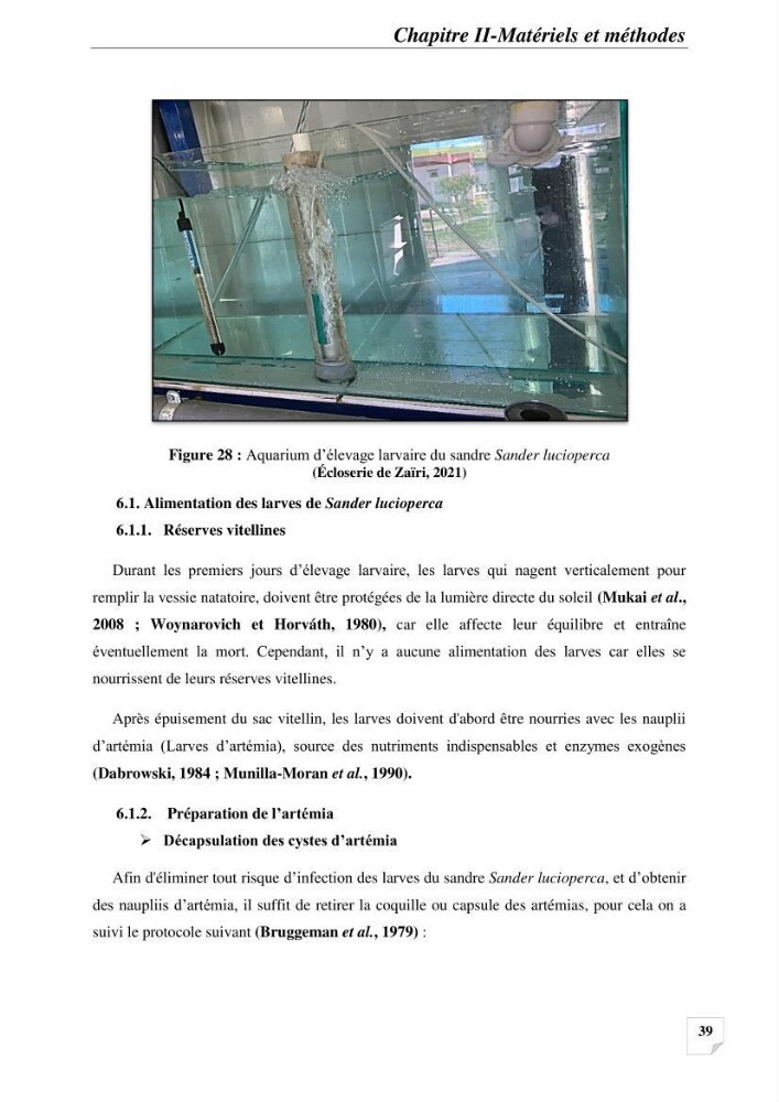 Contribution à la reproduction semi-contrôlée et à l’élevage larvaire d’une espèce carnassière d’eau douce : Cas de Sander lucioperca