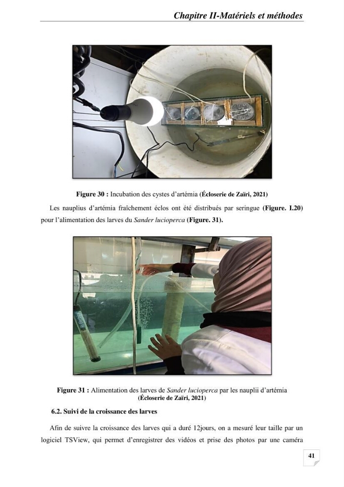 Contribution à la reproduction semi-contrôlée et à l’élevage larvaire d’une espèce carnassière d’eau douce : Cas de Sander lucioperca