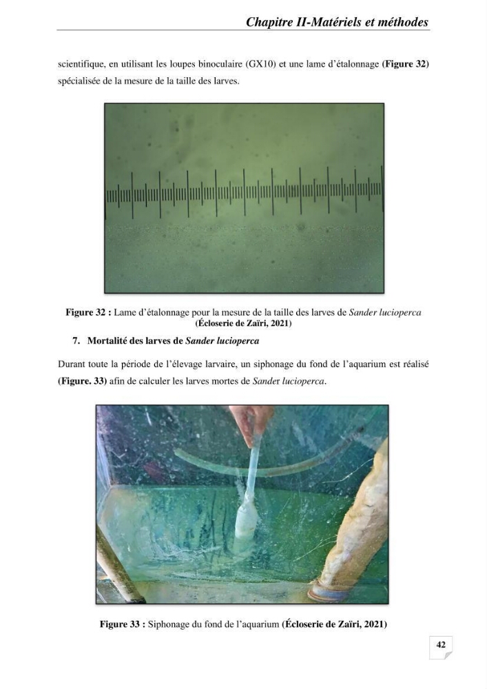 Contribution à la reproduction semi-contrôlée et à l’élevage larvaire d’une espèce carnassière d’eau douce : Cas de Sander lucioperca