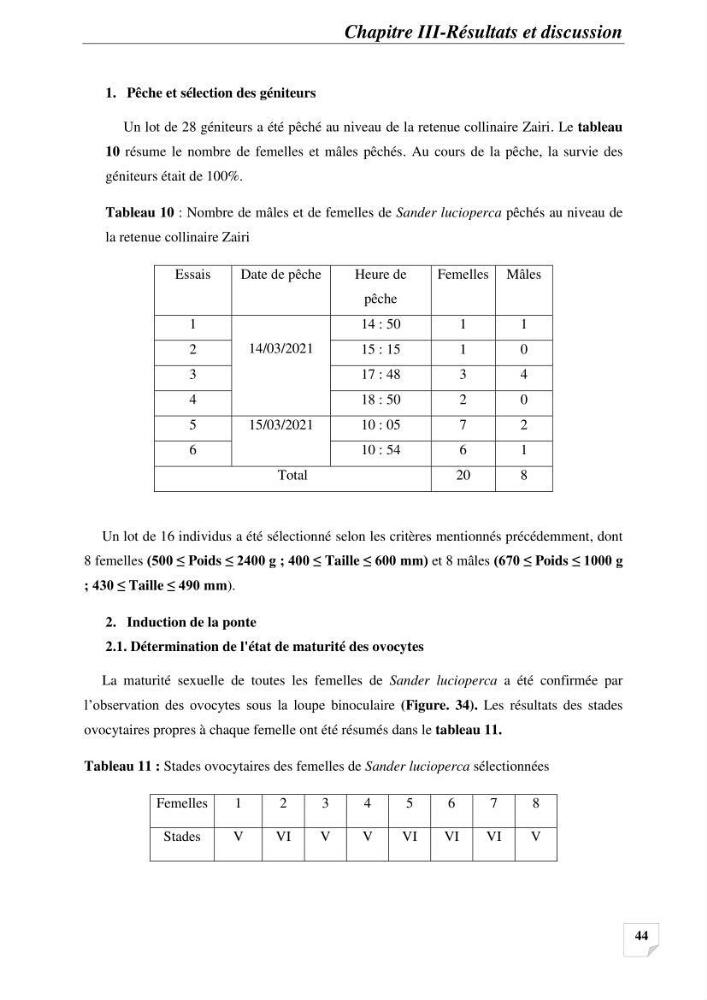 Contribution à la reproduction semi-contrôlée et à l’élevage larvaire d’une espèce carnassière d’eau douce : Cas de Sander lucioperca
