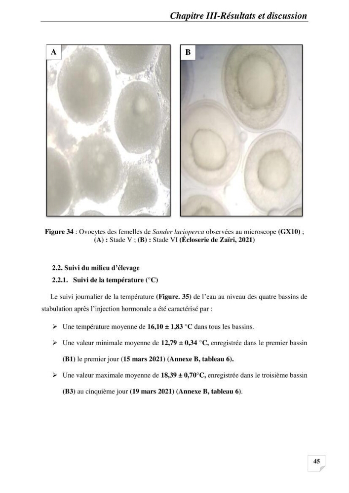 Contribution à la reproduction semi-contrôlée et à l’élevage larvaire d’une espèce carnassière d’eau douce : Cas de Sander lucioperca