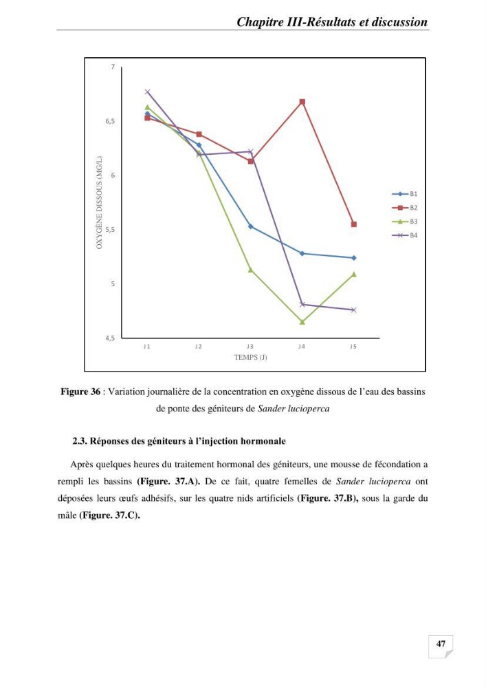 Contribution à la reproduction semi-contrôlée et à l’élevage larvaire d’une espèce carnassière d’eau douce : Cas de Sander lucioperca