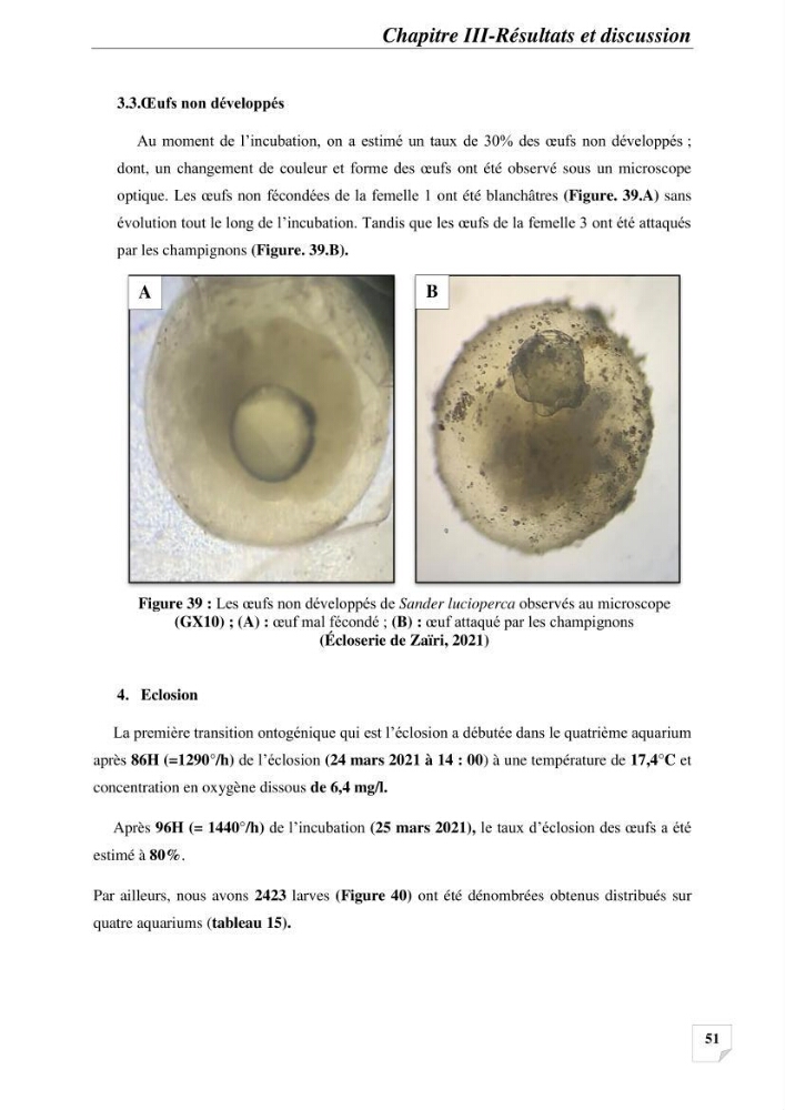 Contribution à la reproduction semi-contrôlée et à l’élevage larvaire d’une espèce carnassière d’eau douce : Cas de Sander lucioperca