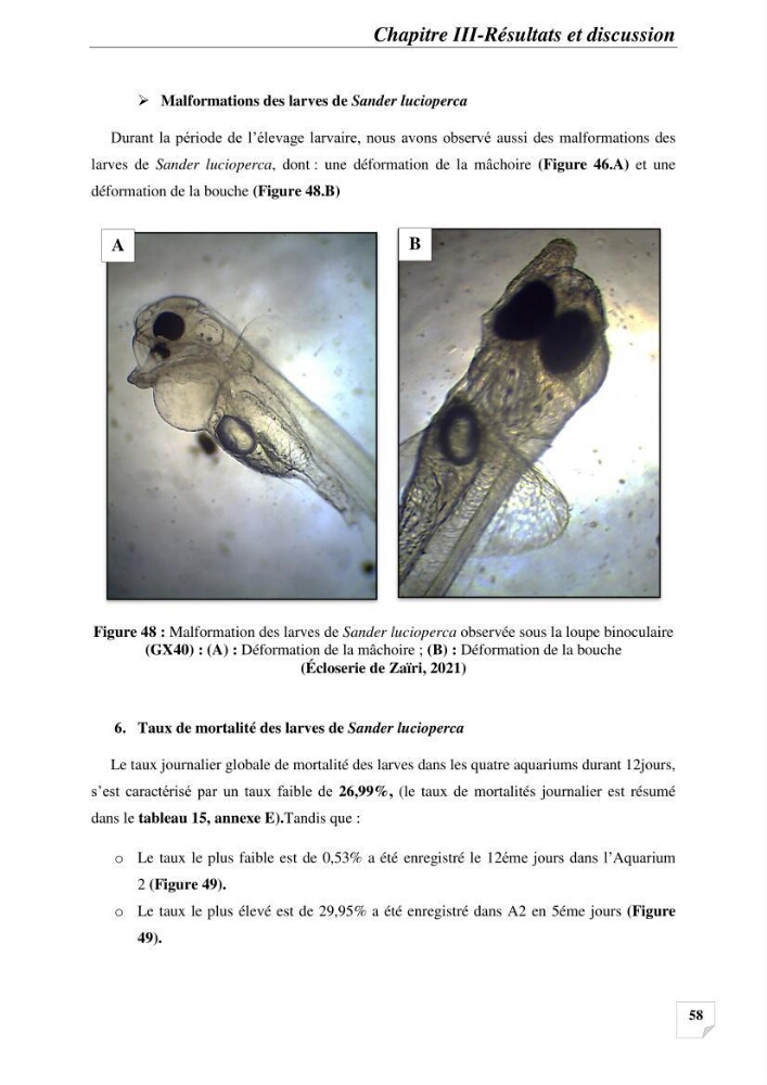 Contribution à la reproduction semi-contrôlée et à l’élevage larvaire d’une espèce carnassière d’eau douce : Cas de Sander lucioperca