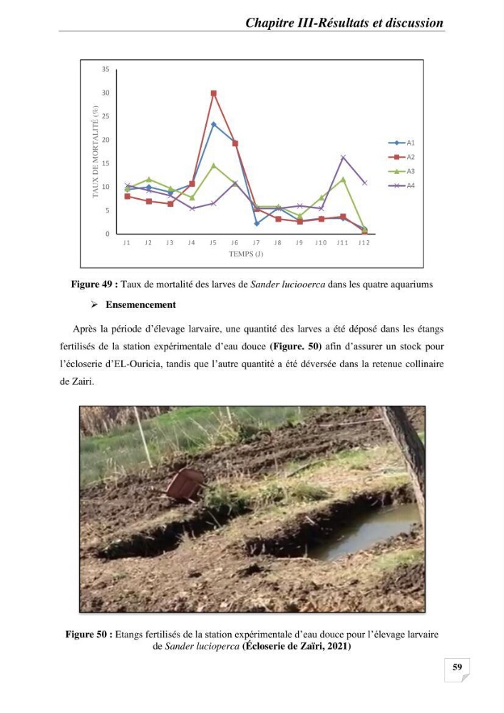 Contribution à la reproduction semi-contrôlée et à l’élevage larvaire d’une espèce carnassière d’eau douce : Cas de Sander lucioperca