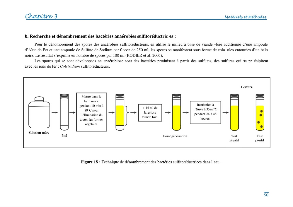 Impact des eaux usées et des embouchures des oueds sur la qualité des eaux de la baie de BouIsmail