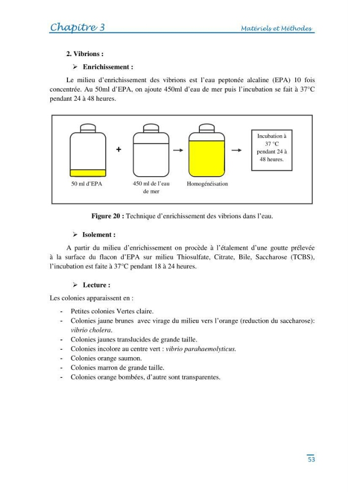 Impact des eaux usées et des embouchures des oueds sur la qualité des eaux de la baie de BouIsmail