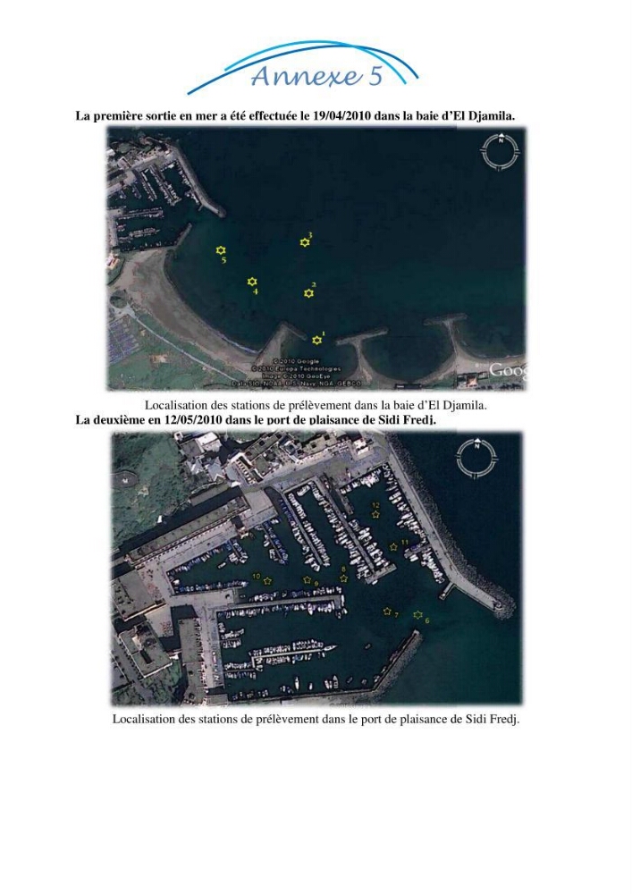 Impact des eaux usées et des embouchures des oueds sur la qualité des eaux de la baie de BouIsmail