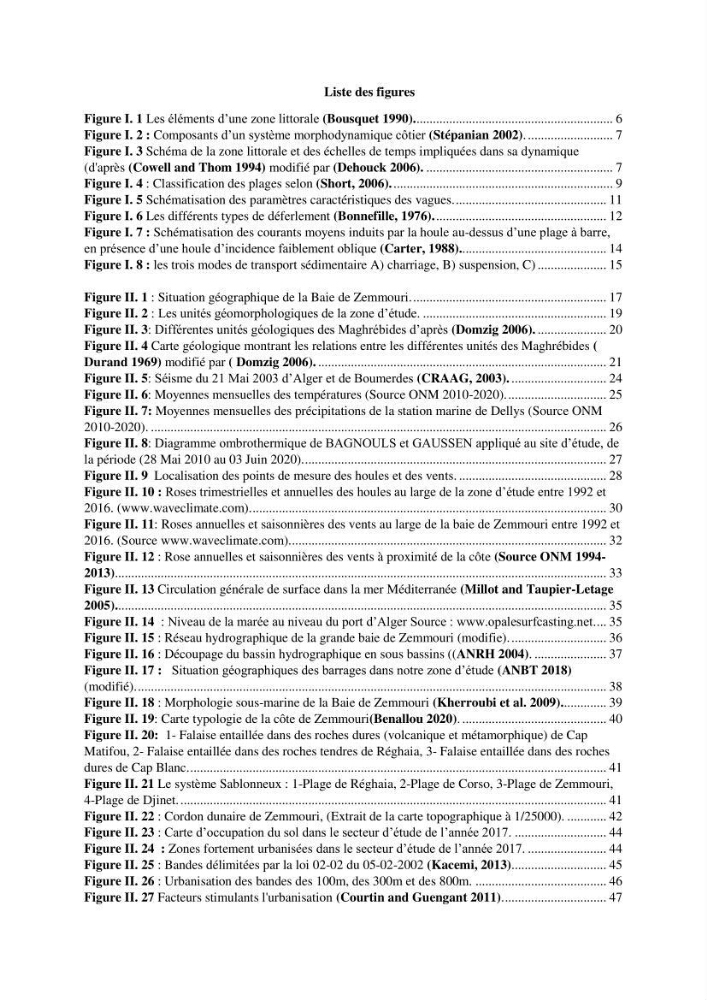 processus mis en Jeu dans l\'évolution Miorpho-dynamique de la baie zemmouri: Modélisation Hydro-Sédimentaire et cinématique du trait de Côte.