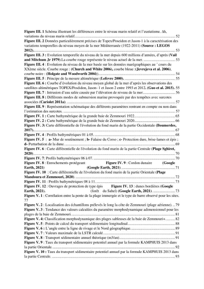 processus mis en Jeu dans l\'évolution Miorpho-dynamique de la baie zemmouri: Modélisation Hydro-Sédimentaire et cinématique du trait de Côte.