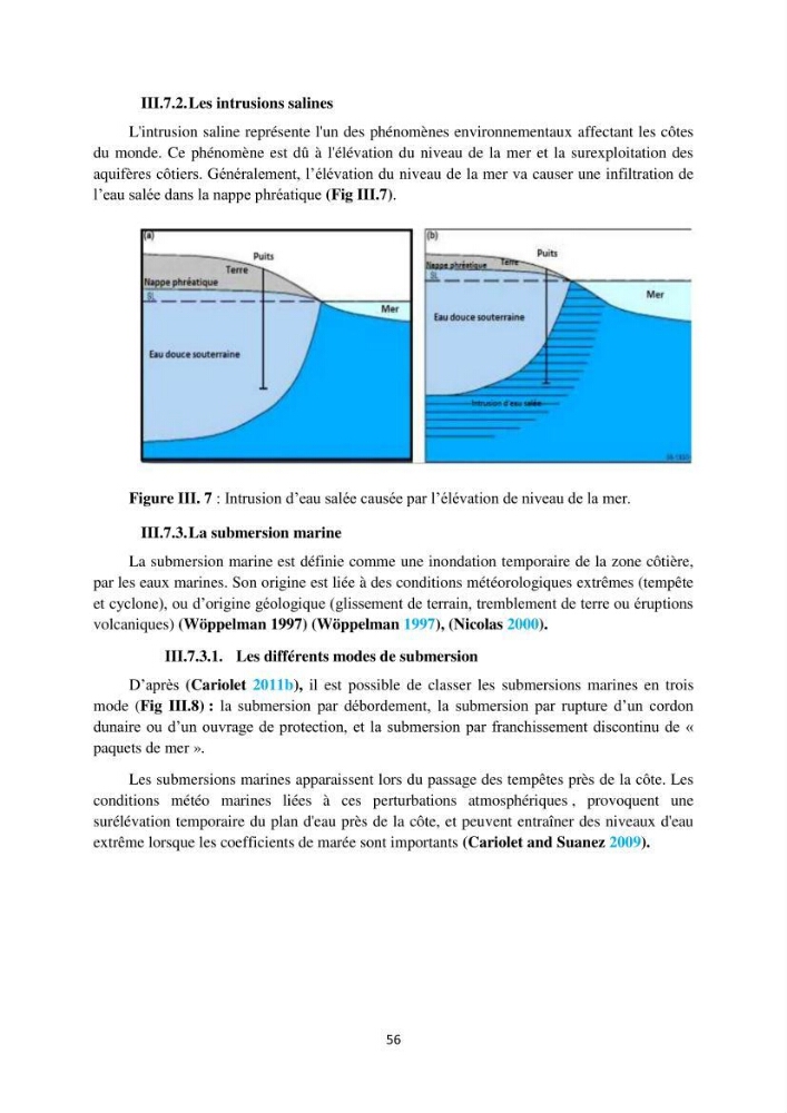 processus mis en Jeu dans l\'évolution Miorpho-dynamique de la baie zemmouri: Modélisation Hydro-Sédimentaire et cinématique du trait de Côte.