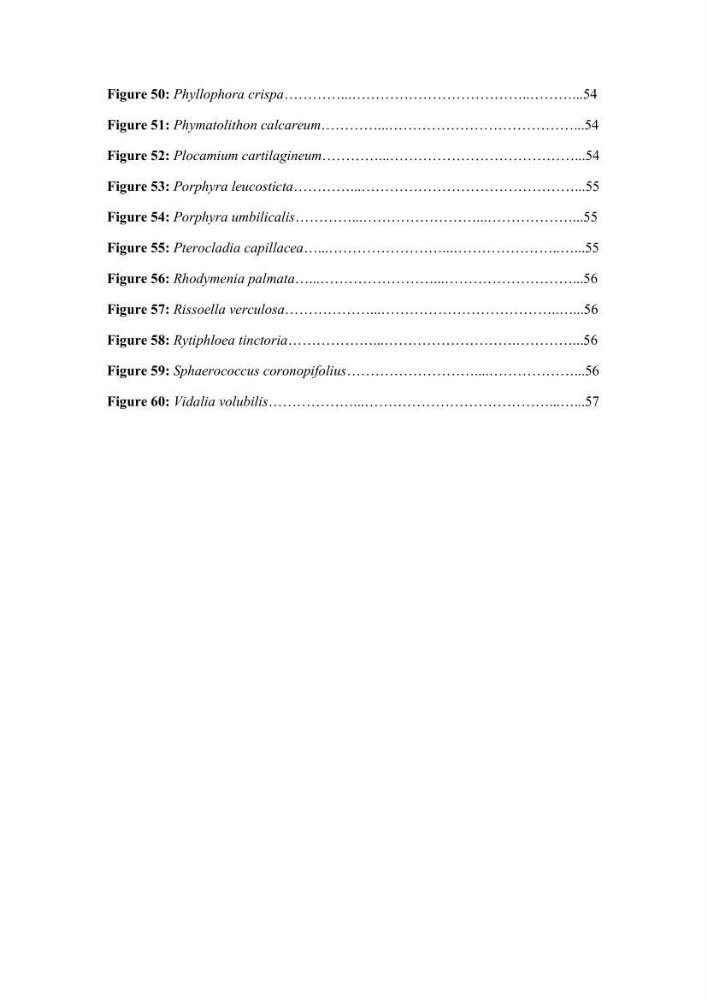Actualisation de l\'inventaire des Rhodobiontes des côtes Algériennes et mise en évidence des éspèces à intérêt aquacole