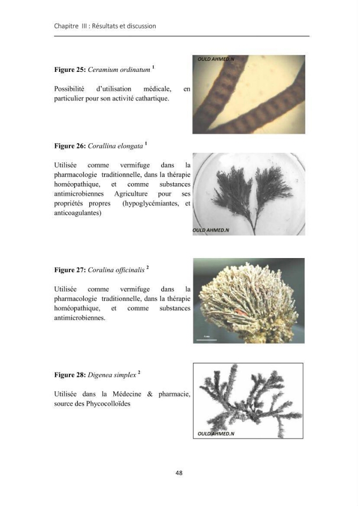Actualisation de l\'inventaire des Rhodobiontes des côtes Algériennes et mise en évidence des éspèces à intérêt aquacole