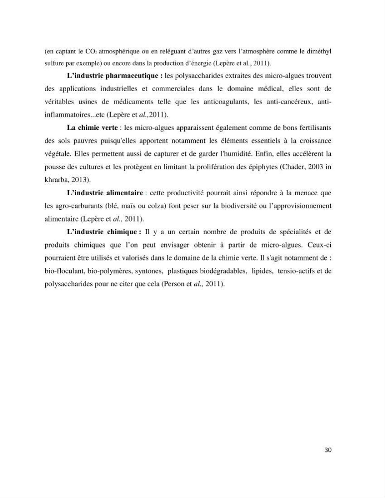 Dynamique et diversité du phytoplancton de la côte Algérienne