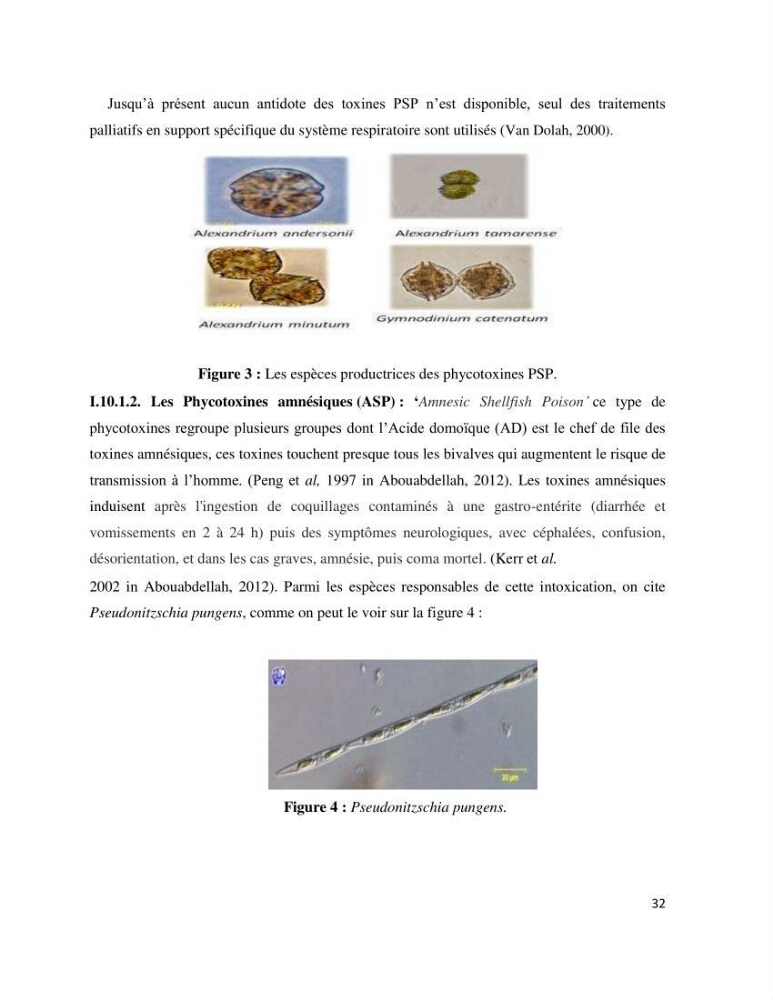 Dynamique et diversité du phytoplancton de la côte Algérienne