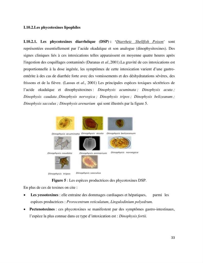 Dynamique et diversité du phytoplancton de la côte Algérienne
