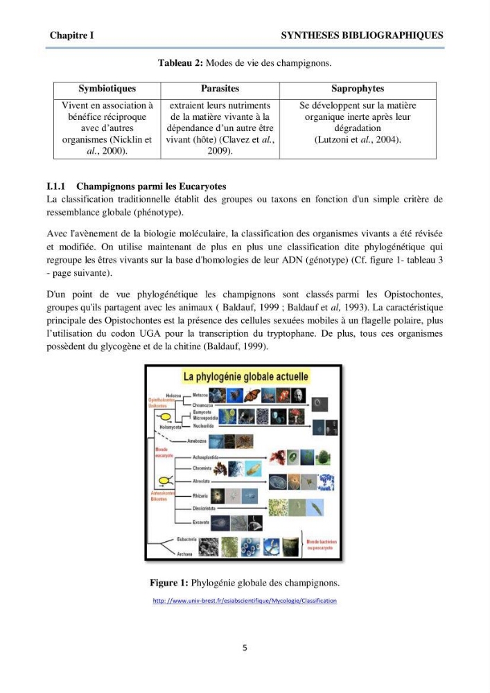 Détermination et criblage de la flore fongique potentiellement toxinogène du port d’Alger et de la ferme aquacole « Cultmare » de Tipaza :test de toxicité sur les larves d’Artémie
