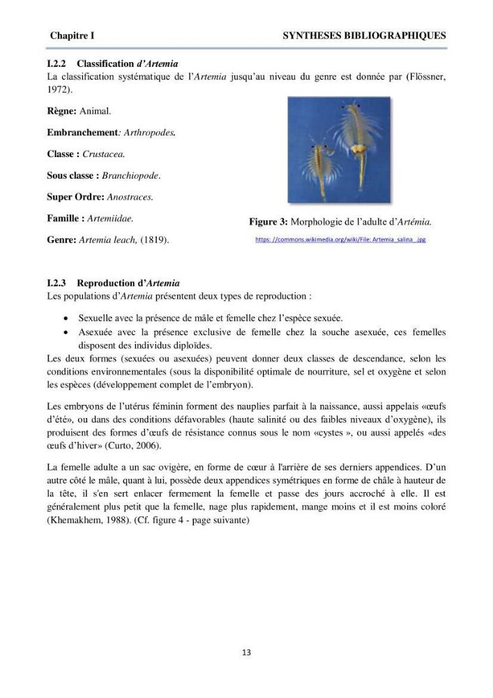 Détermination et criblage de la flore fongique potentiellement toxinogène du port d’Alger et de la ferme aquacole « Cultmare » de Tipaza :test de toxicité sur les larves d’Artémie