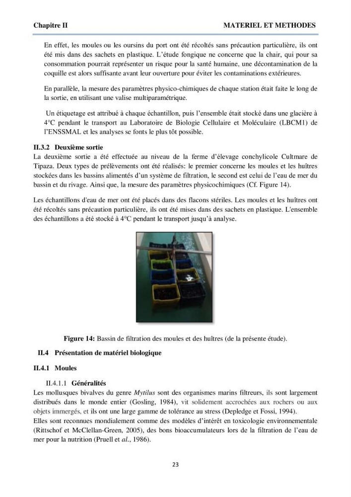 Détermination et criblage de la flore fongique potentiellement toxinogène du port d’Alger et de la ferme aquacole « Cultmare » de Tipaza :test de toxicité sur les larves d’Artémie