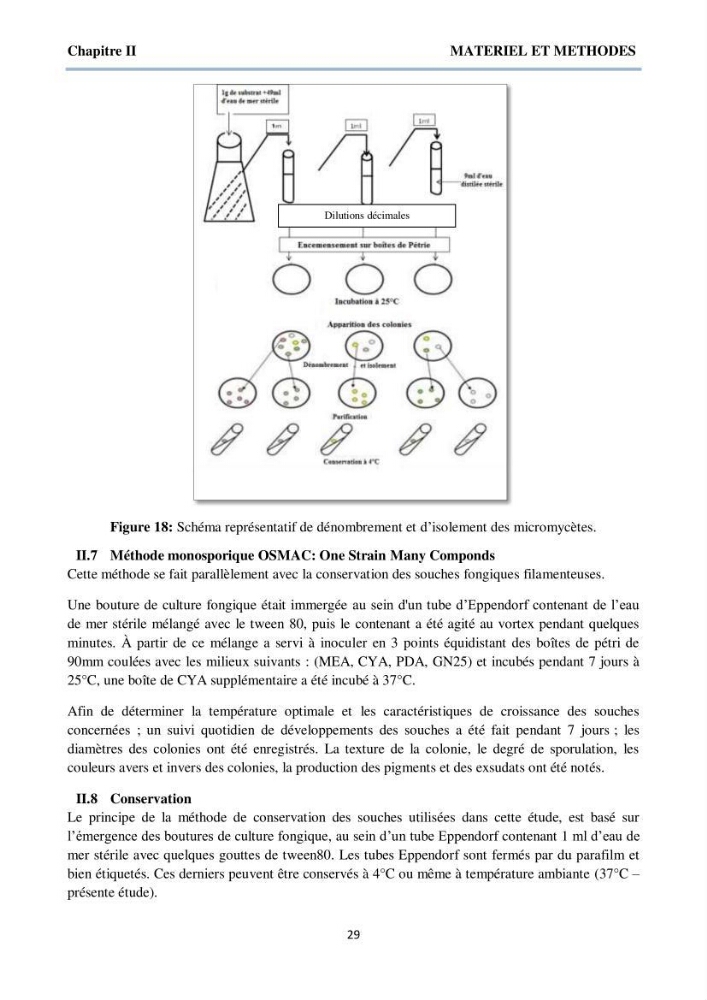Détermination et criblage de la flore fongique potentiellement toxinogène du port d’Alger et de la ferme aquacole « Cultmare » de Tipaza :test de toxicité sur les larves d’Artémie