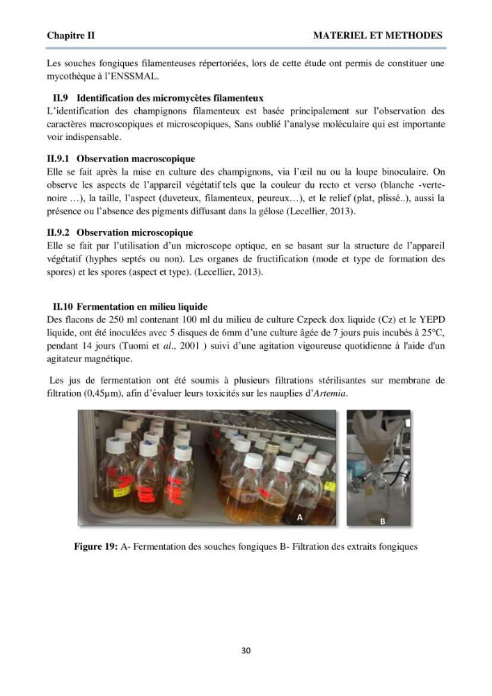 Détermination et criblage de la flore fongique potentiellement toxinogène du port d’Alger et de la ferme aquacole « Cultmare » de Tipaza :test de toxicité sur les larves d’Artémie