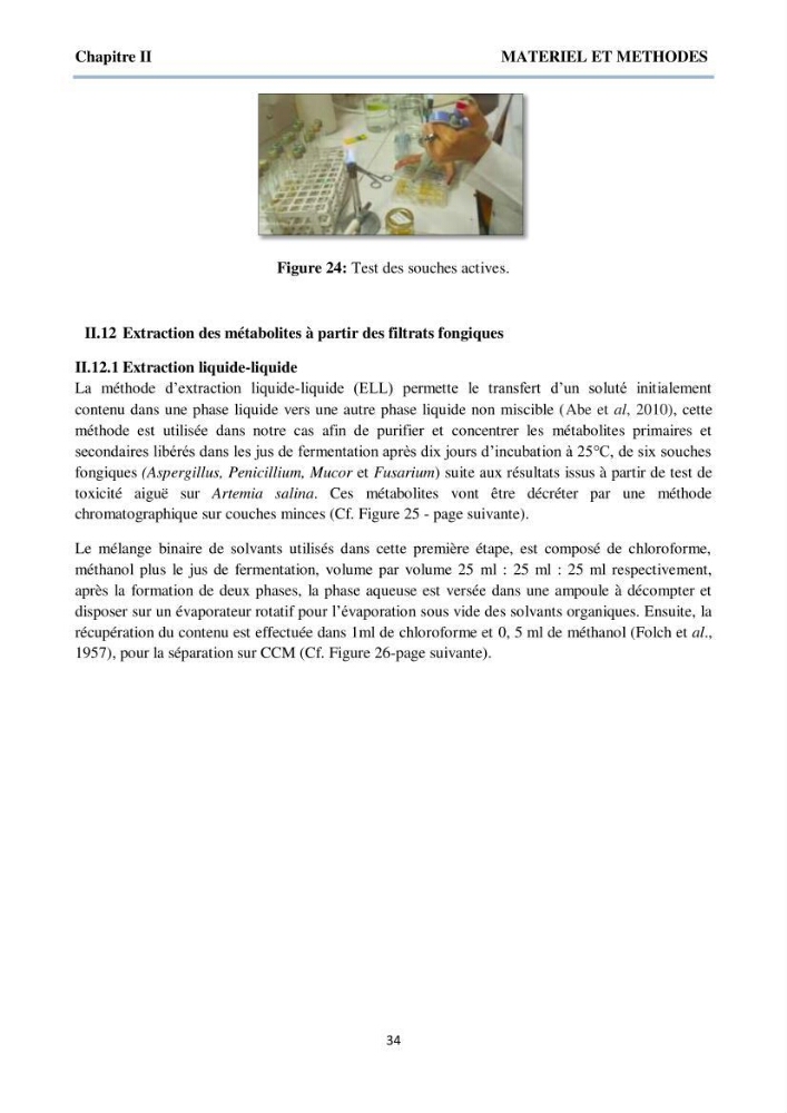 Détermination et criblage de la flore fongique potentiellement toxinogène du port d’Alger et de la ferme aquacole « Cultmare » de Tipaza :test de toxicité sur les larves d’Artémie