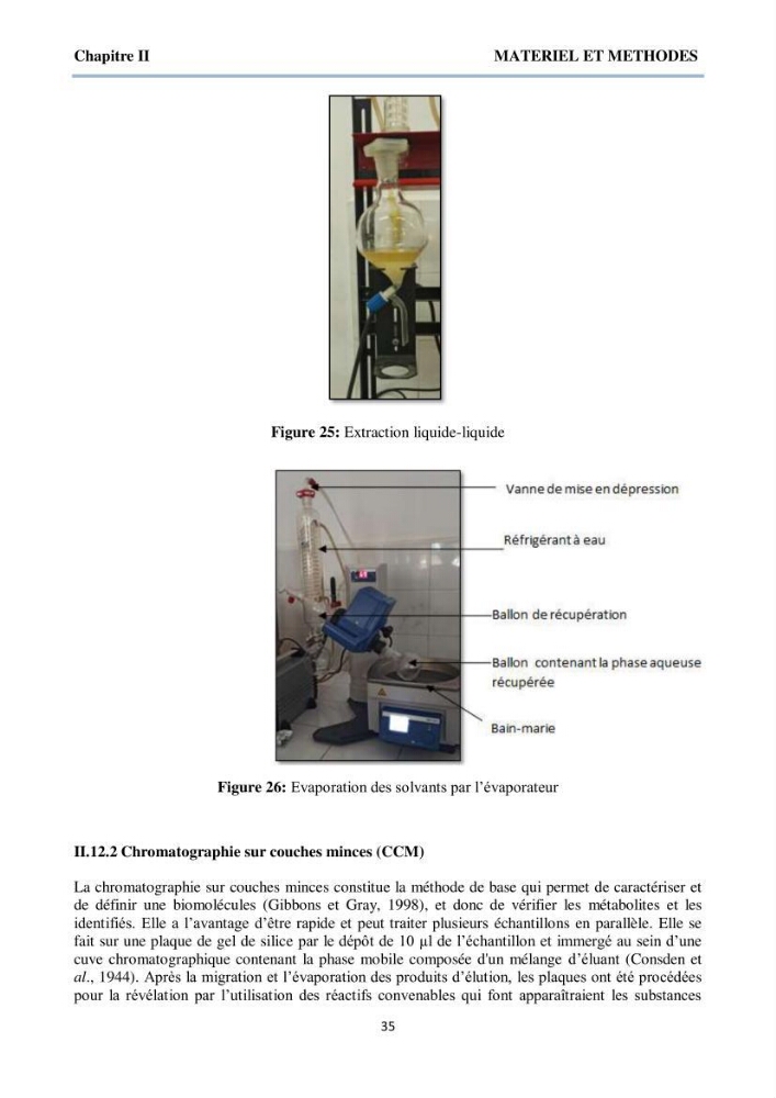 Détermination et criblage de la flore fongique potentiellement toxinogène du port d’Alger et de la ferme aquacole « Cultmare » de Tipaza :test de toxicité sur les larves d’Artémie