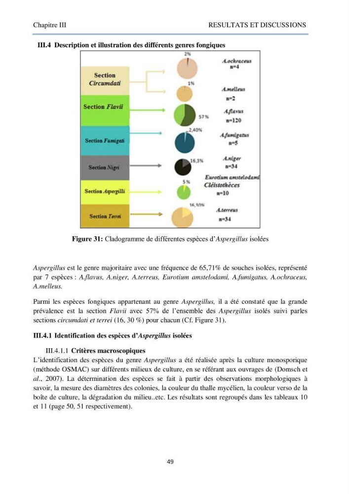 Détermination et criblage de la flore fongique potentiellement toxinogène du port d’Alger et de la ferme aquacole « Cultmare » de Tipaza :test de toxicité sur les larves d’Artémie