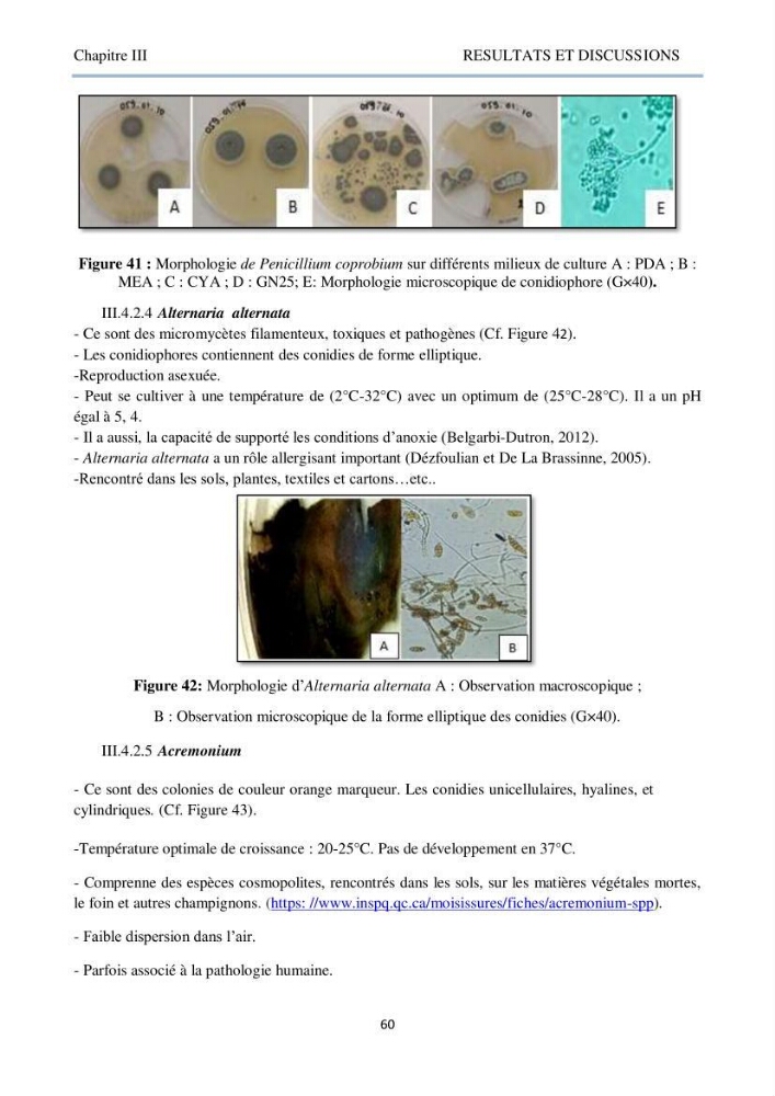 Détermination et criblage de la flore fongique potentiellement toxinogène du port d’Alger et de la ferme aquacole « Cultmare » de Tipaza :test de toxicité sur les larves d’Artémie