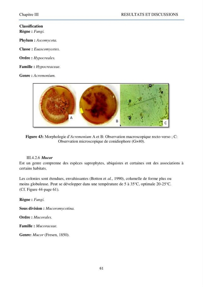 Détermination et criblage de la flore fongique potentiellement toxinogène du port d’Alger et de la ferme aquacole « Cultmare » de Tipaza :test de toxicité sur les larves d’Artémie