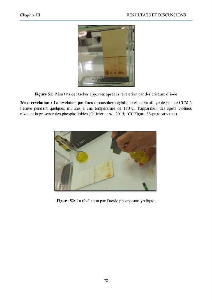 Détermination et criblage de la flore fongique potentiellement toxinogène du port d’Alger et de la ferme aquacole « Cultmare » de Tipaza :test de toxicité sur les larves d’Artémie