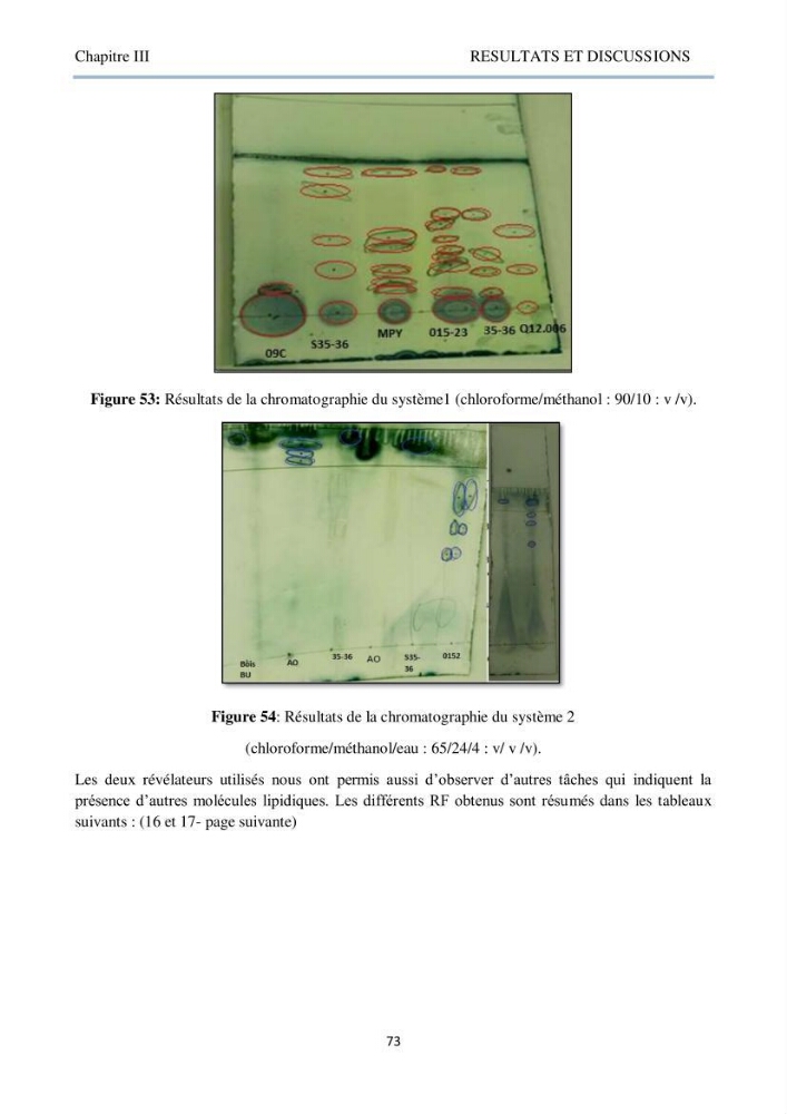 Détermination et criblage de la flore fongique potentiellement toxinogène du port d’Alger et de la ferme aquacole « Cultmare » de Tipaza :test de toxicité sur les larves d’Artémie