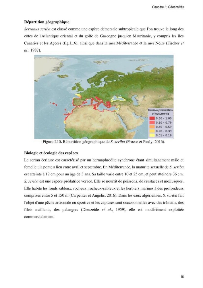 Approche écosystémique de la pêcherie artisanale de la baie de Bou Ismail : cas des serrans (Osteichthyens, Serranidae)