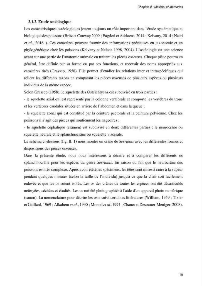 Approche écosystémique de la pêcherie artisanale de la baie de Bou Ismail : cas des serrans (Osteichthyens, Serranidae)