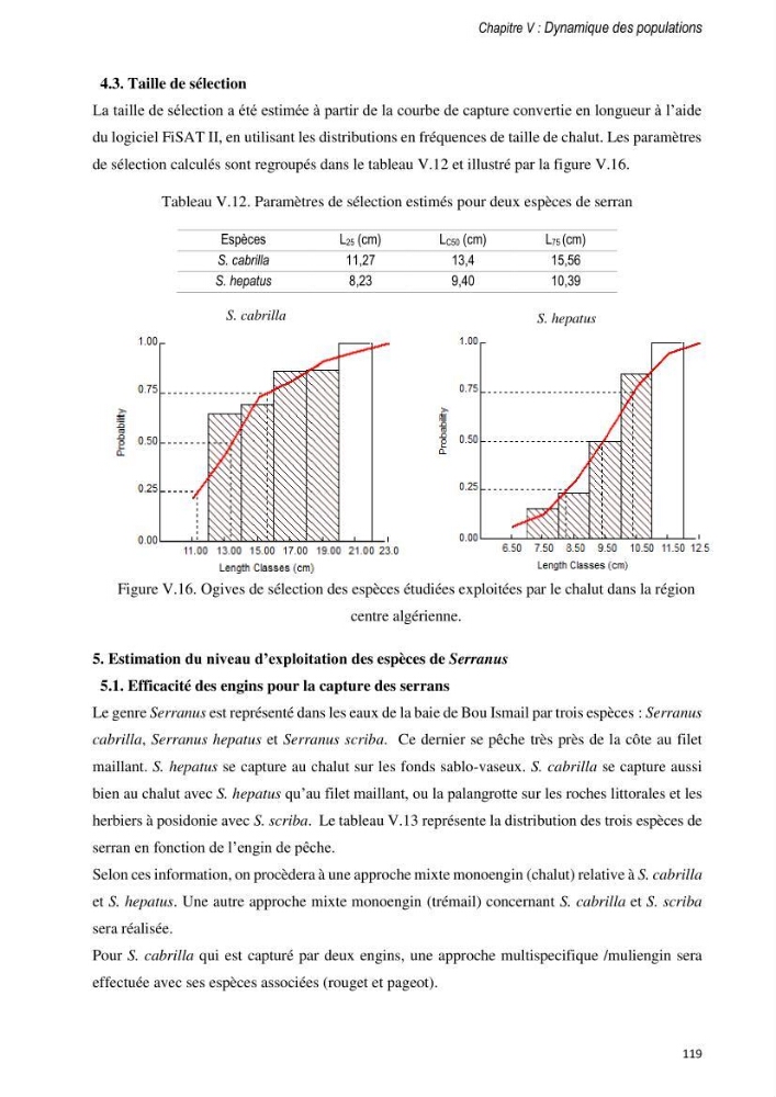 Approche écosystémique de la pêcherie artisanale de la baie de Bou Ismail : cas des serrans (Osteichthyens, Serranidae)