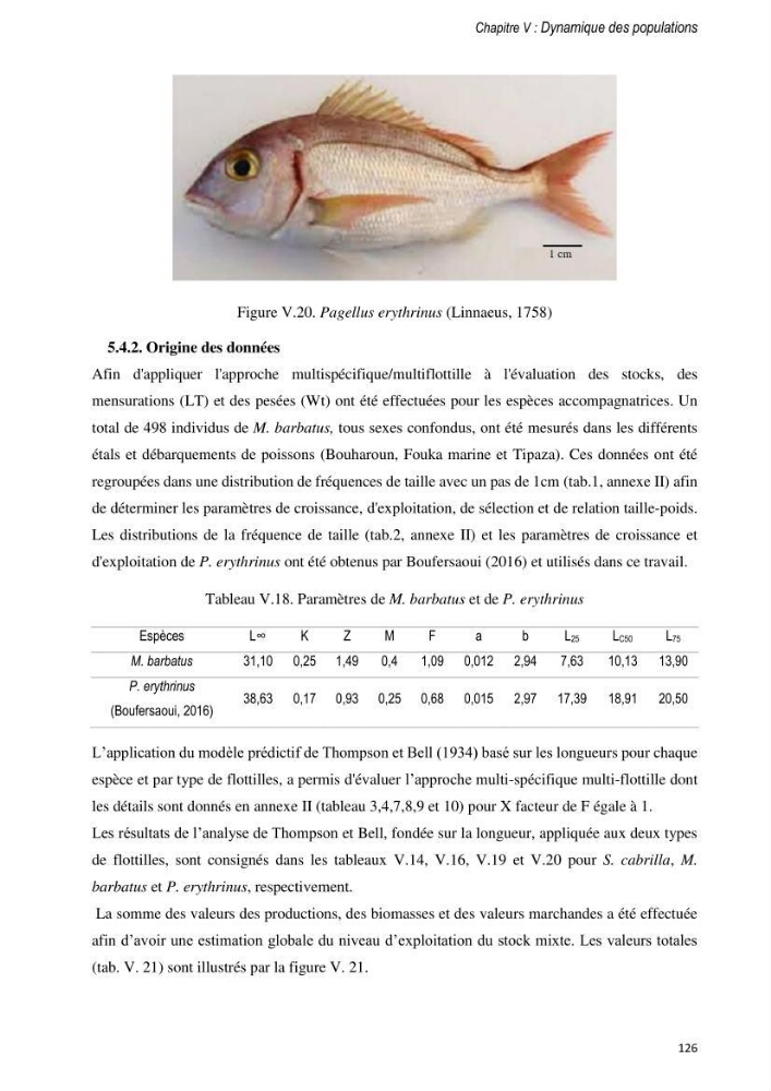 Approche écosystémique de la pêcherie artisanale de la baie de Bou Ismail : cas des serrans (Osteichthyens, Serranidae)