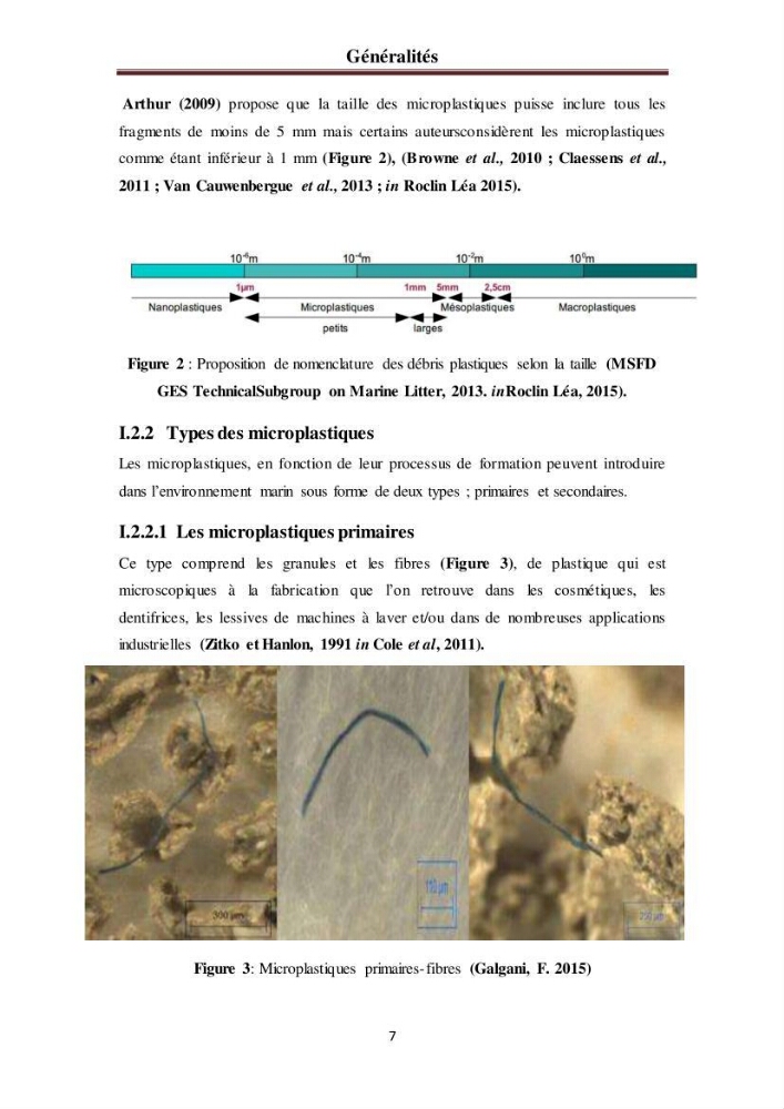Evaluation quantitative des microplastiques dans la baie de Bou-Ismail