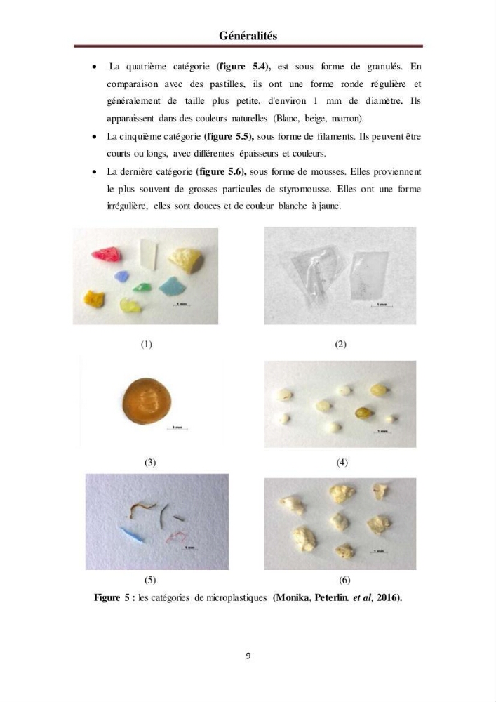 Evaluation quantitative des microplastiques dans la baie de Bou-Ismail