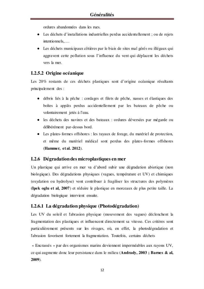 Evaluation quantitative des microplastiques dans la baie de Bou-Ismail