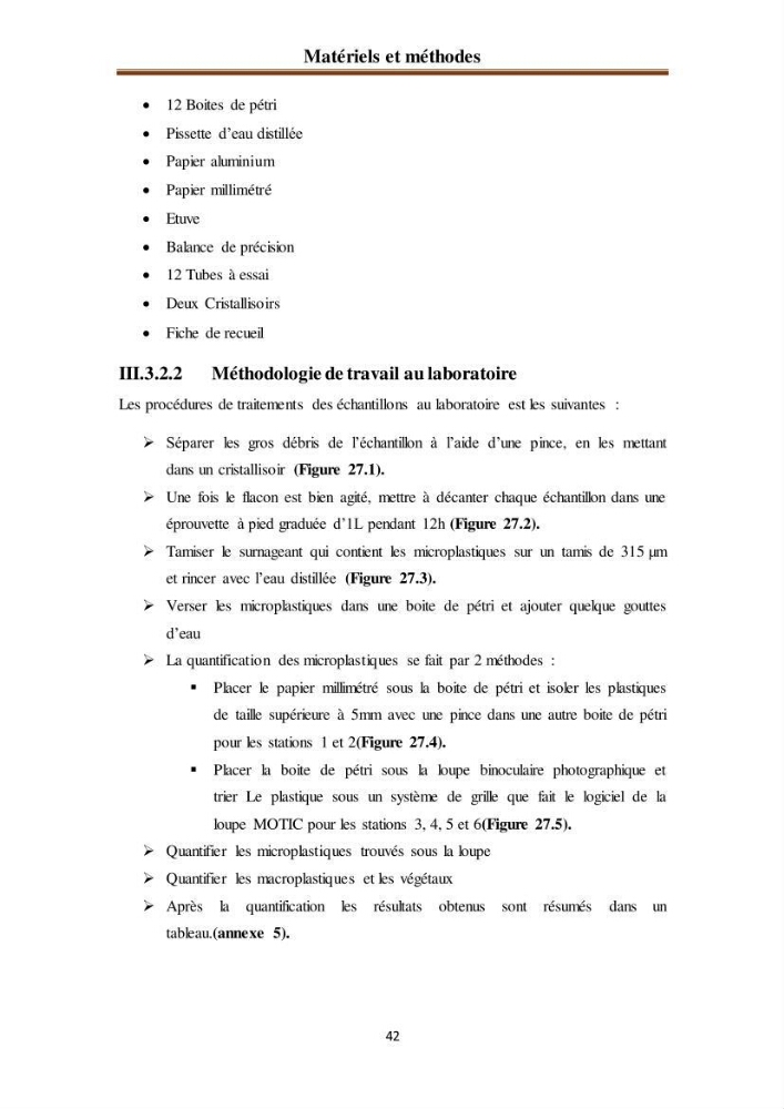 Evaluation quantitative des microplastiques dans la baie de Bou-Ismail